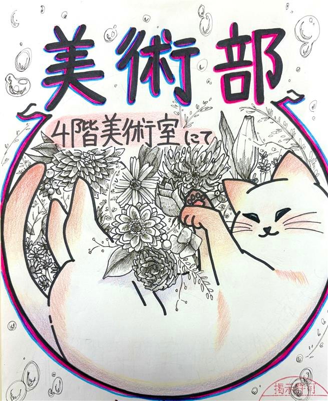 Image (2)